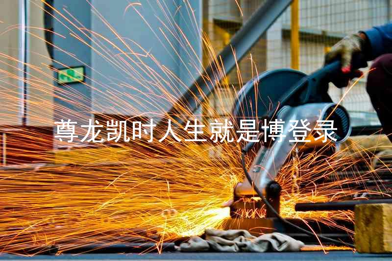 尊龙凯时人生就是博登录